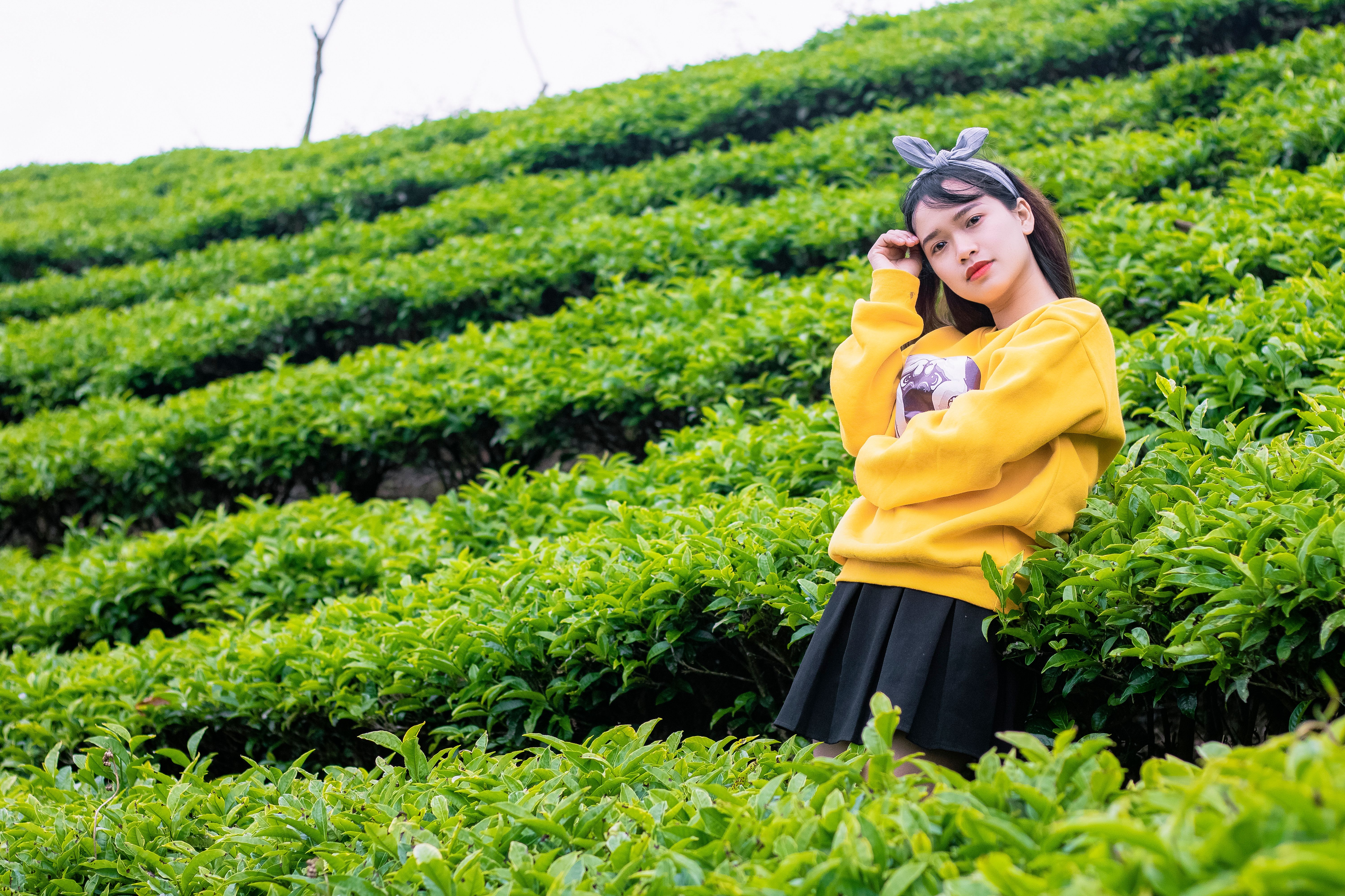 美食小吃盘