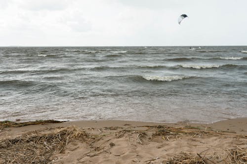 A Person Kitesurfing on the Beach