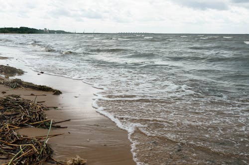 Foto d'estoc gratuïta de acomiadar-se, badia, Costa