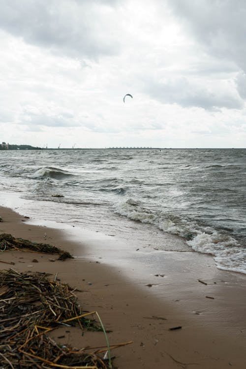 A Person Kitesurfing on the Beach