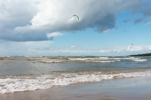 Free stock photo of bay, coast, kitesurfing