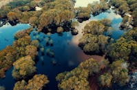 Aerial View Photography of Green Leaf Trees Surrounded by Body of Water at Daytime