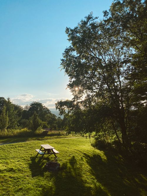 Free Beautiful sunlit field with a picnic table and lush greenery in the summer. Stock Photo