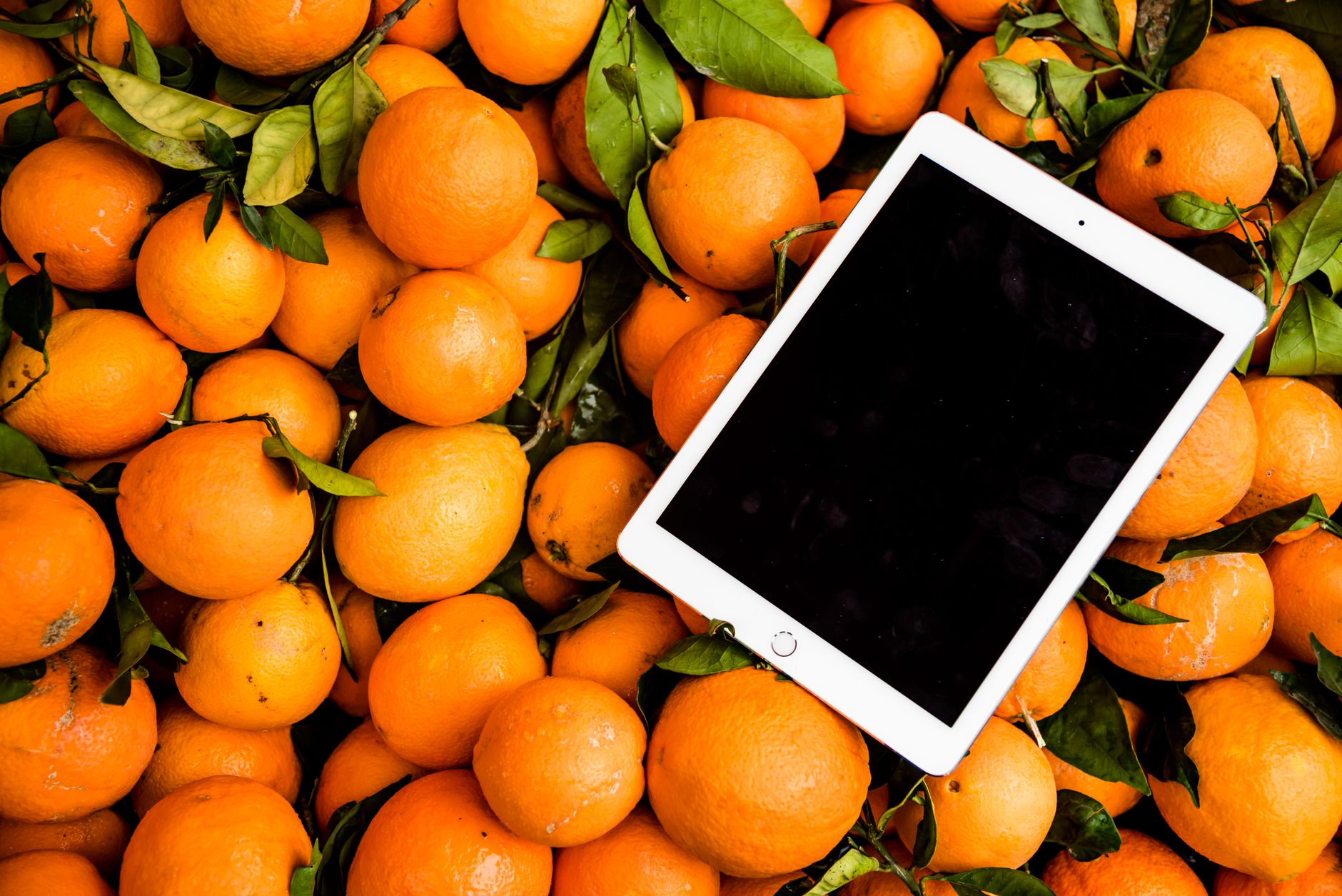 A vibrant collection of fresh oranges with a tablet, showcasing a mix of technology and nature.