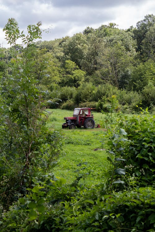 Red Tractor on Green Grass Field