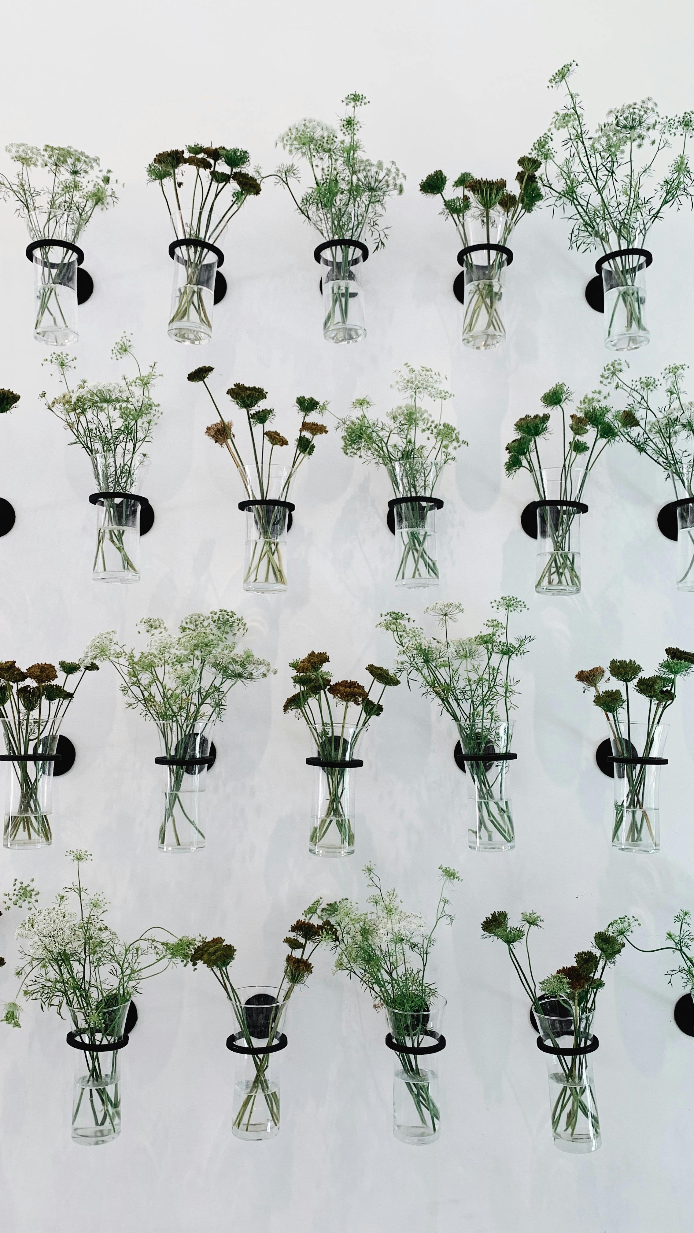 Elegant rows of greenery displayed in glass vases against a white background.