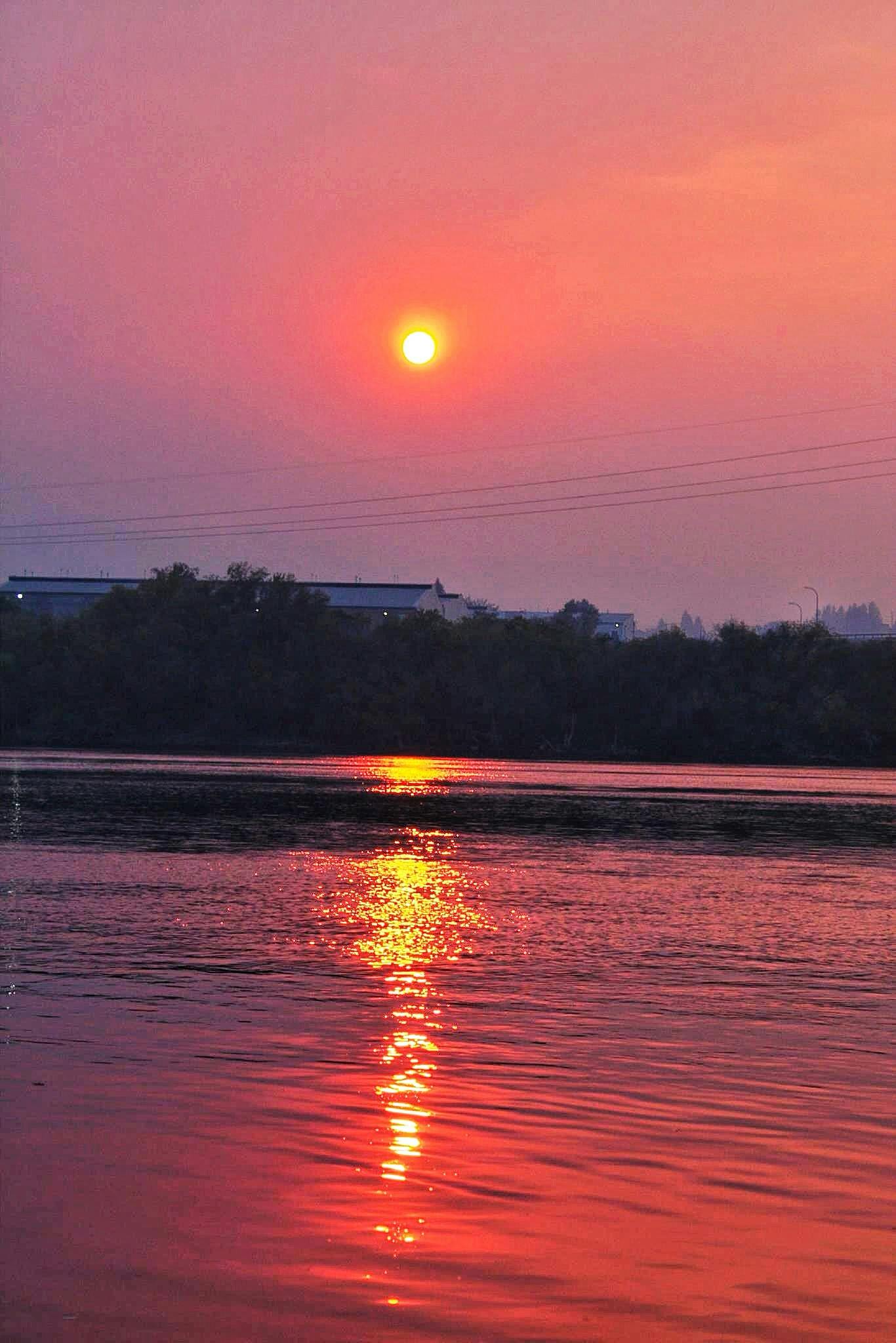 Free stock photo of forest fire, red sky, red sun