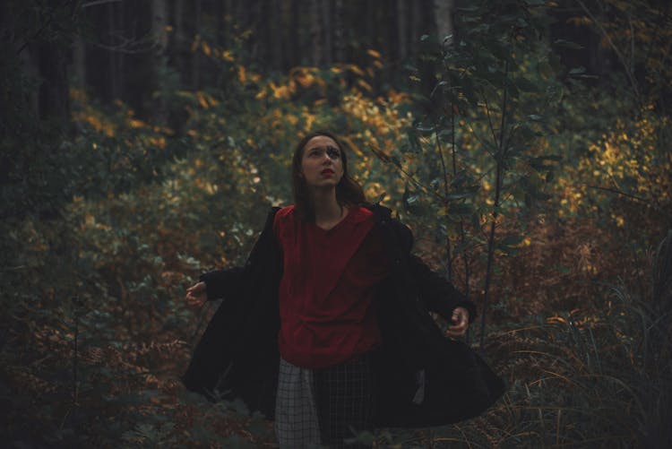 Woman Lost In Forest