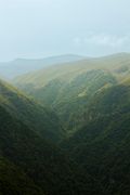 Green valley — photo by Zedarkmi Zedarkmi on Pexels