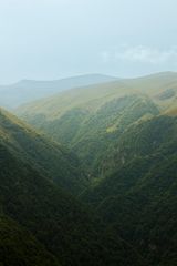 Field Notes board cover — photo by Zedarkmi Zedarkmi on Pexels