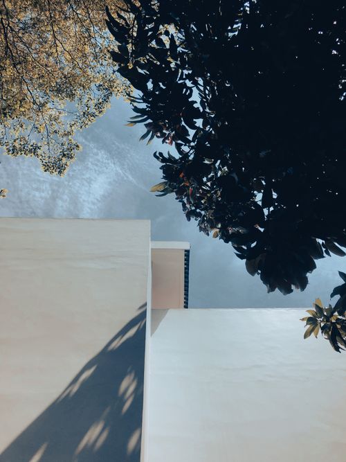 Free Capture of a white minimalist building facade with tree shadows against a blue sky in Jakarta. Stock Photo