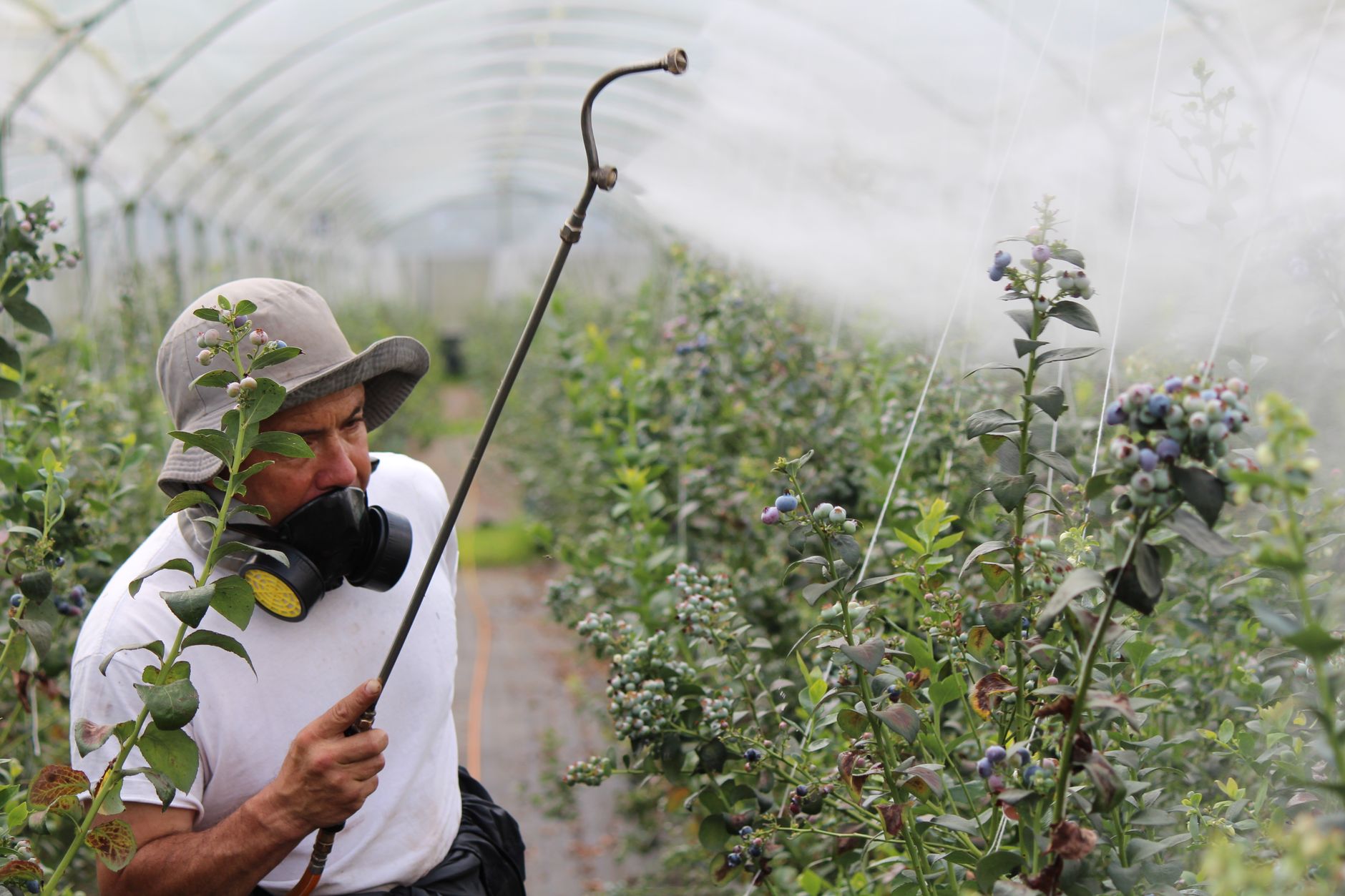 Plus de 1 000 demandes au Fonds d’indemnisation des victimes de pesticides en 2025