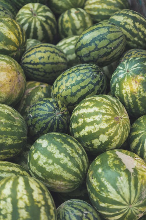 Free A Pile of Fresh Watermelons  Stock Photo