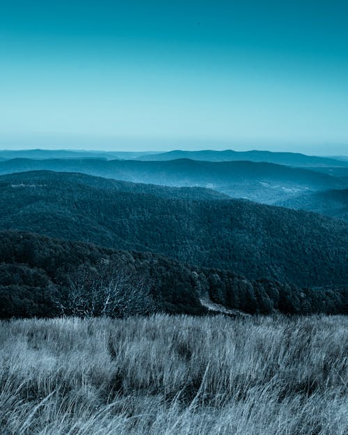 Hills Covered with Green Trees 