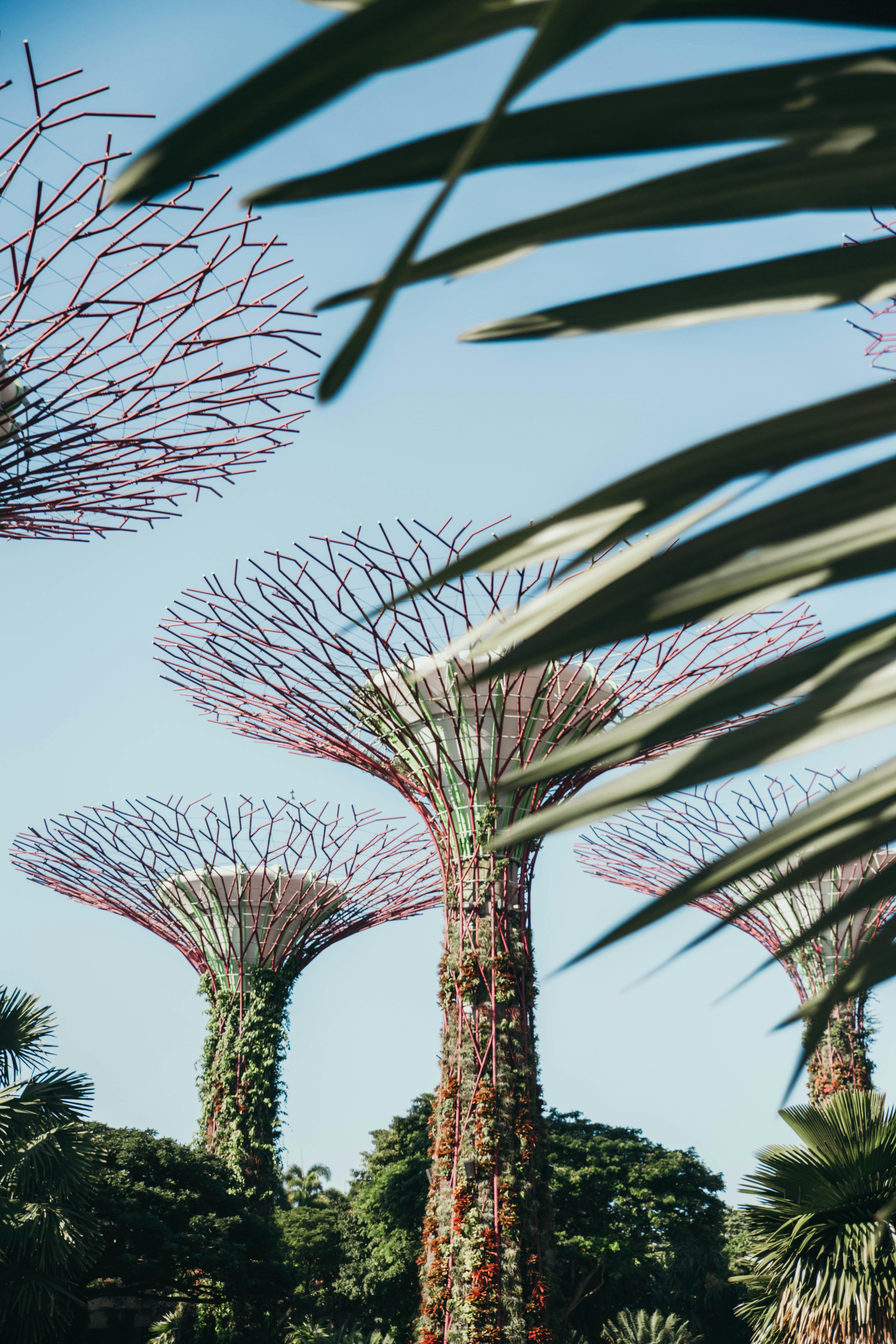 attraction in garden by the bay in singapore