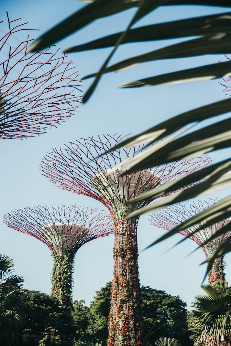 Attraction In Garden By The Bay In Singapore