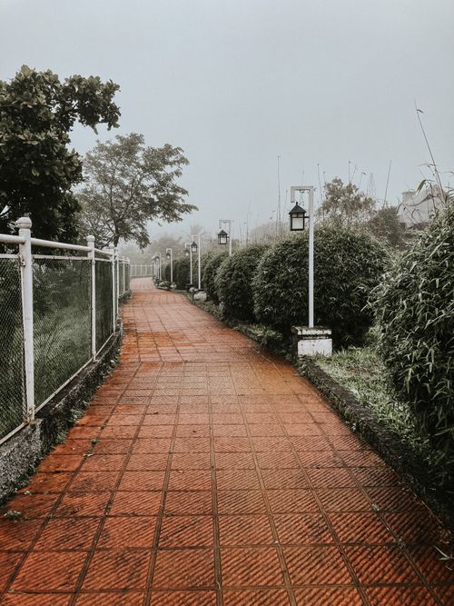 Free A tranquil pathway through a lush garden with trees and metal fence. Stock Photo