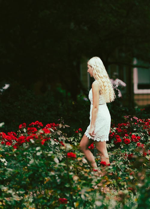 금발, 붉은 꽃, 서 있는의 무료 스톡 사진