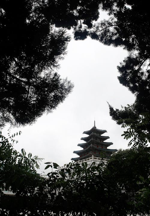 Photography of Black and White Temple