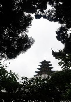 透过郁郁葱葱的树木，韩国佛塔的壮丽景色尽收眼底，展现了传统建筑的魅力