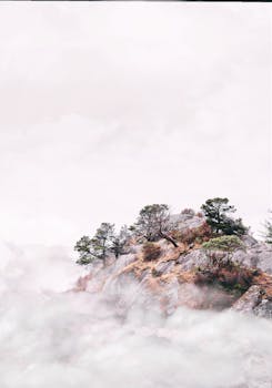 西温哥华云雾缭绕的山峰，展现了大自然的美丽