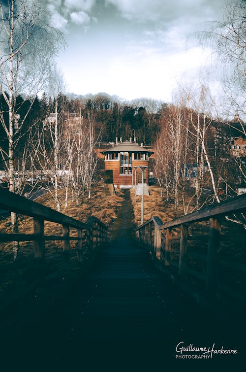 Free stock photo of autumn vibes, cabin, cloud