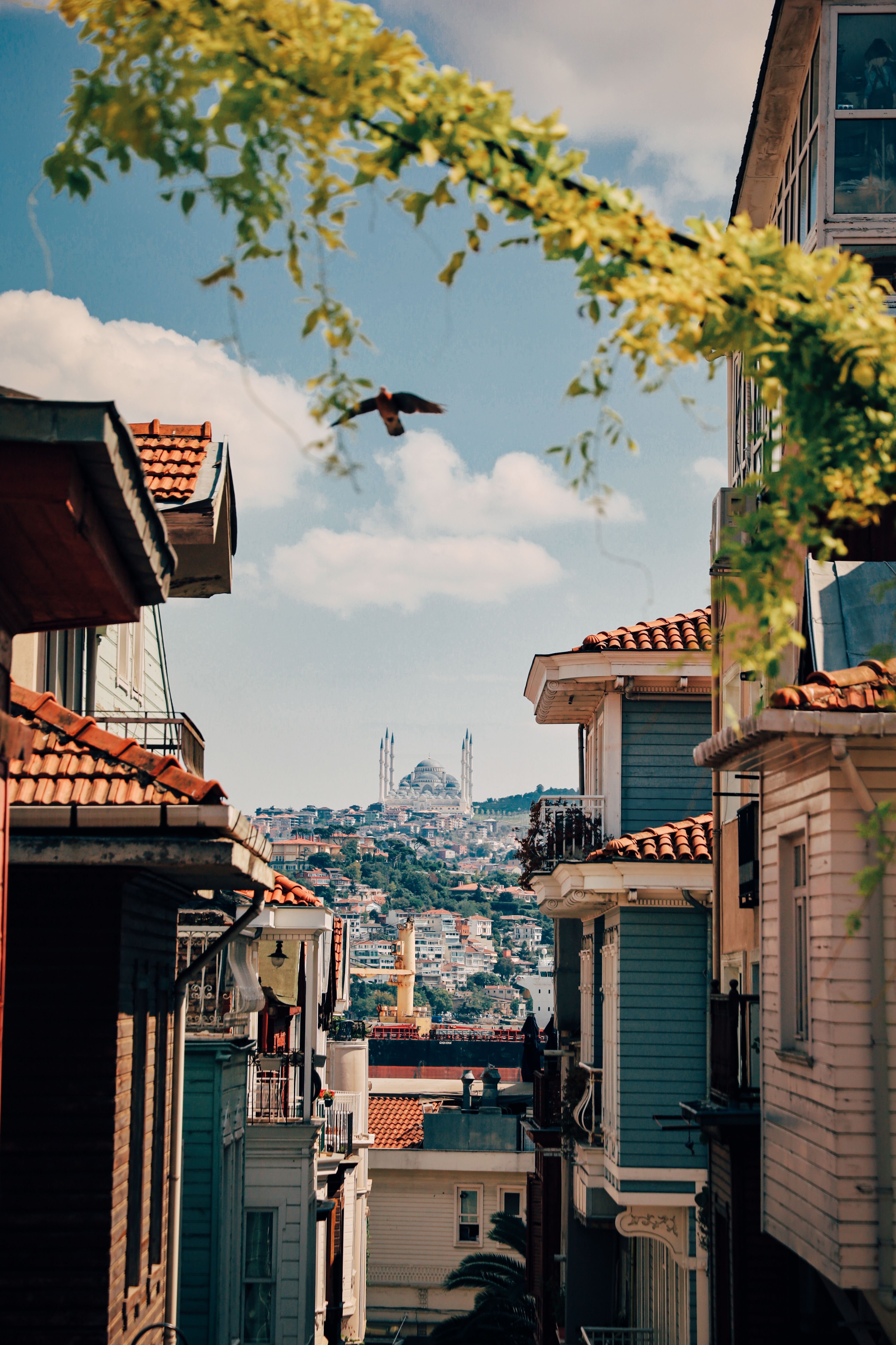 Charming narrow street in Istanbul with a bird flying above and a mosque in the background.