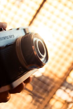 Capture the essence of photography with this close-up of a vintage Olympus camera bathed in warm sunlight.