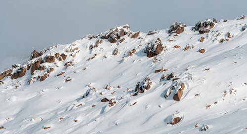 Foto profissional grátis de com frio, inverno, montanhas