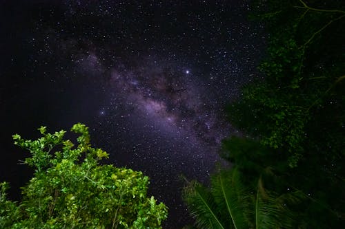 бесплатная Бесплатное стоковое фото с galaxy, звездная ночь, звезды Стоковое фото