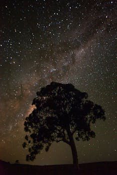A stunning view of the Milky Way with a silhouetted tree under a starry sky.
