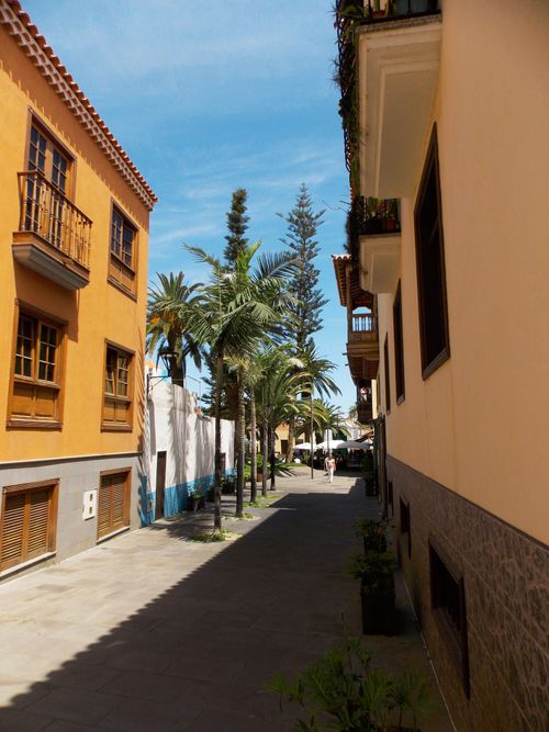 Free Beautiful narrow alley with palm trees and colorful architecture under a sunny sky. Stock Photo