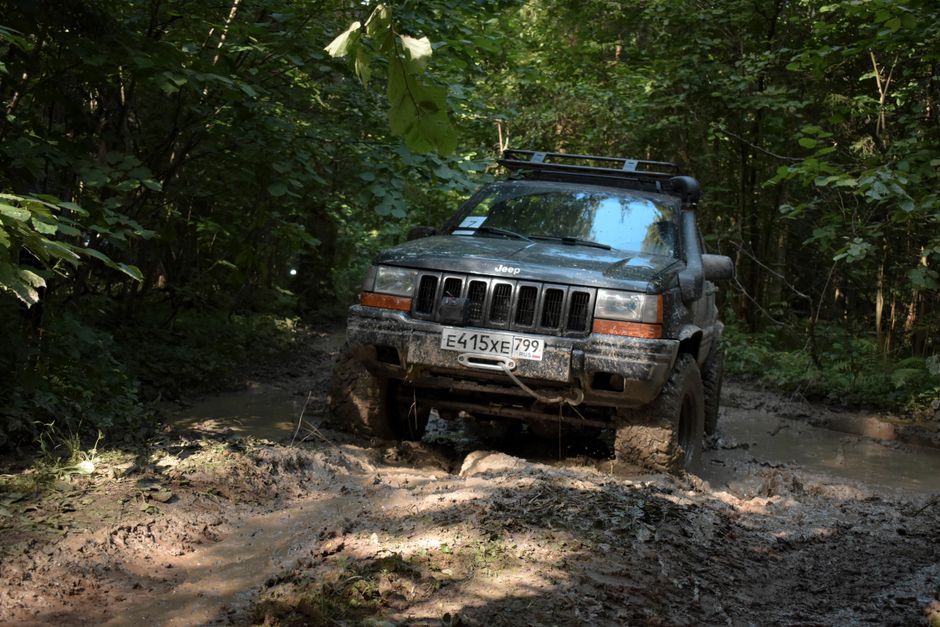 Jeep tackling a muddy trail in a dense forest, showcasing off-road capabilities.