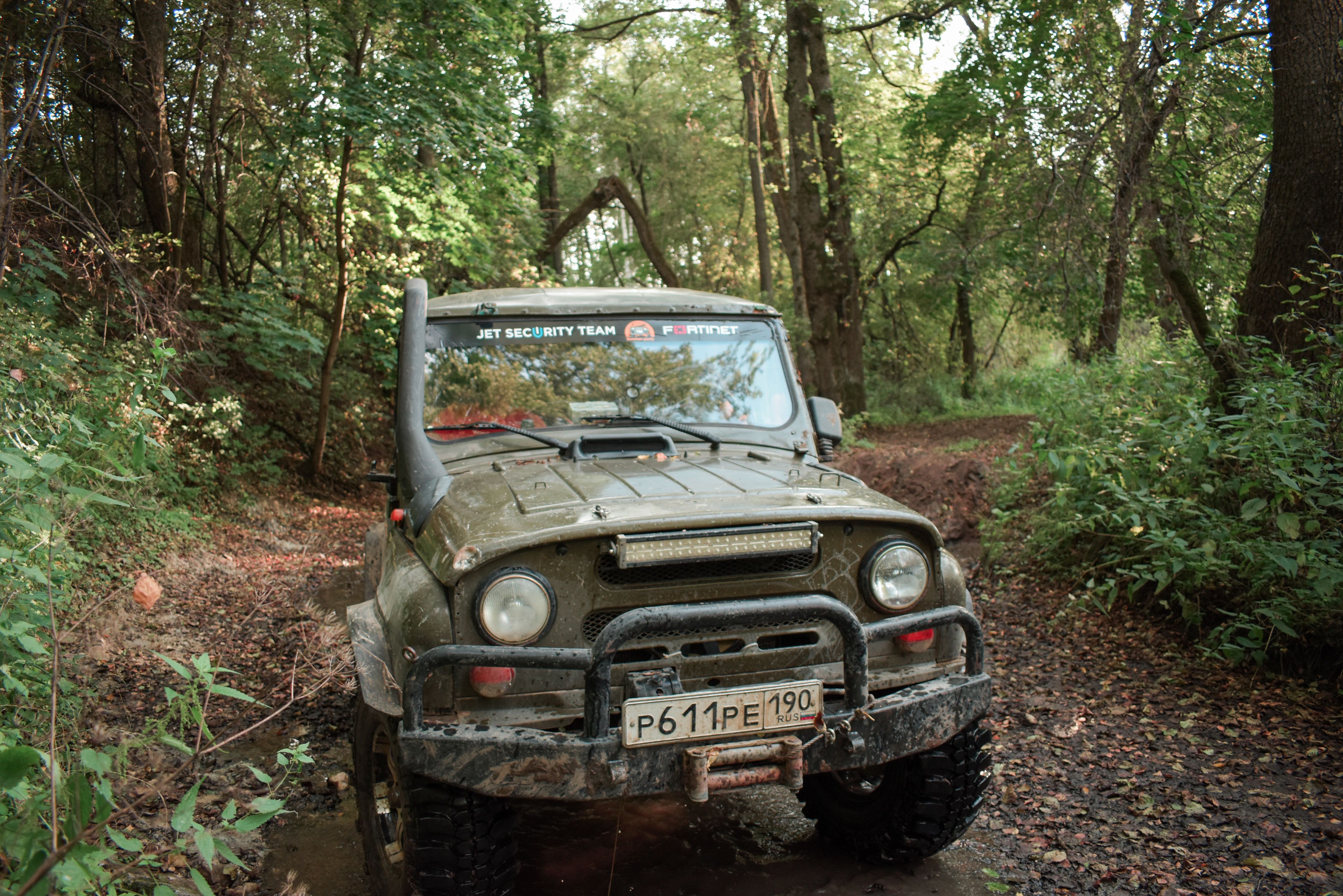 A Black Jeep in the Forest · Free Stock Photo