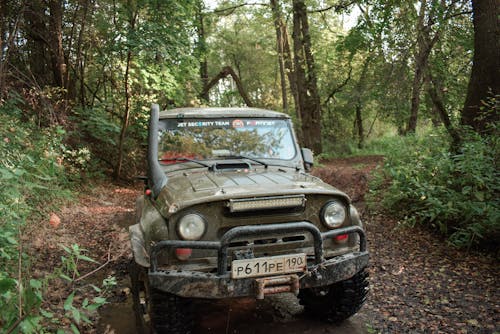 Foto profissional grátis de automobilístico, automóvel, floresta