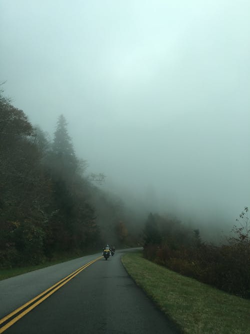 Gray Asphalt Road Between Green Trees Covered With Fog