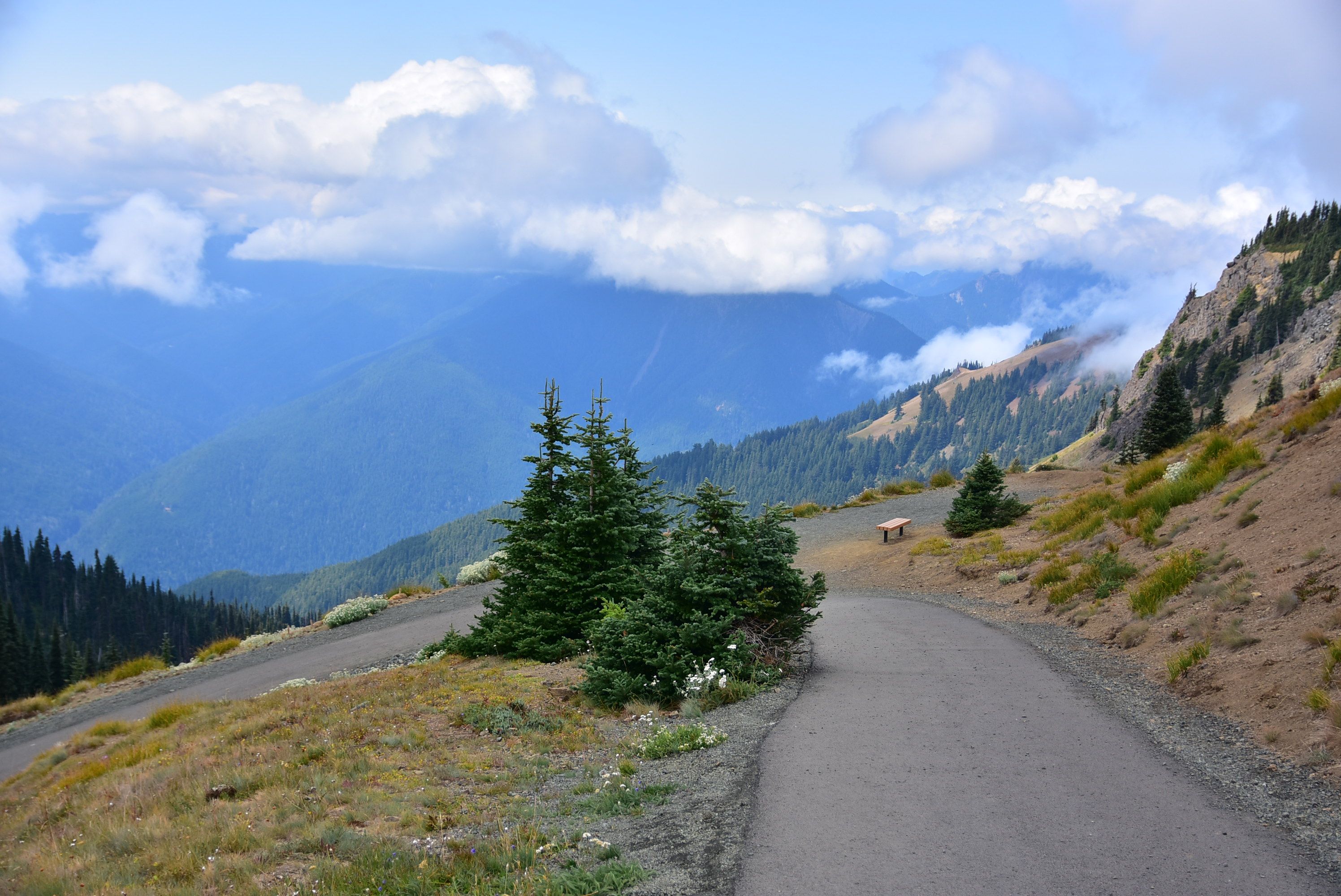 Beautiful mountain landscape featuring a winding road, pine trees, and clouds against a vibrant blue sky.