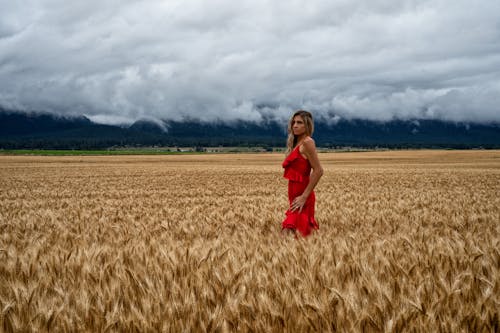 Woman in Red Dress Standing in a Wheat Field