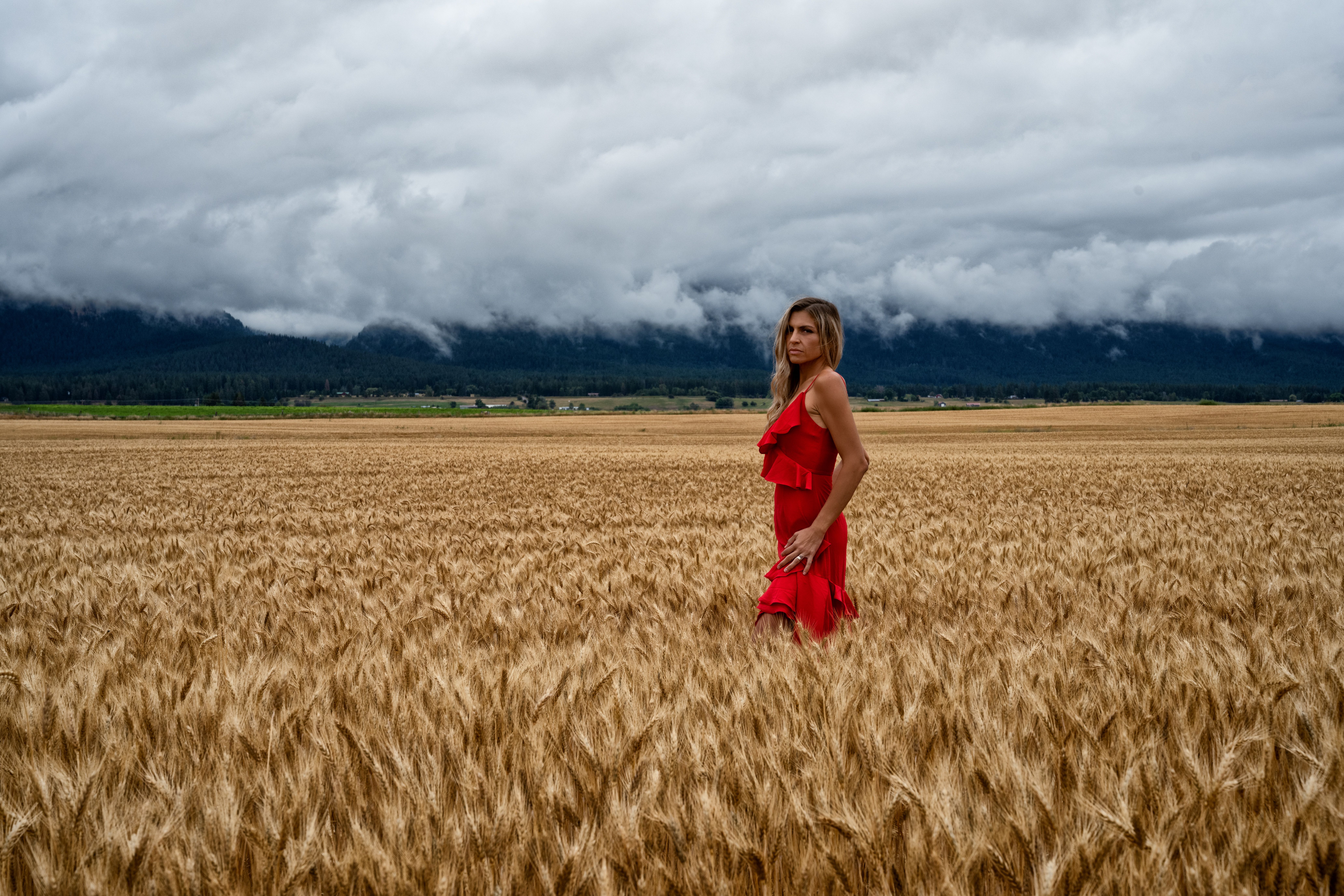 Woman in Red Dress Standing in a Wheat Field · Free Stock Photo
