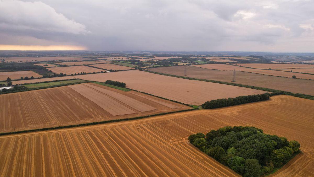 Digital marketing agency in Belonia Tripura for rubber trade border commerce and retail businesses