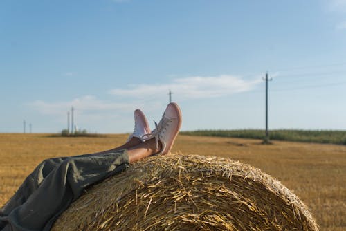 Free A Person's Legs on a Hay Bale Stock Photo