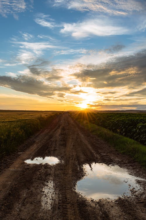 Sunset over an Unpaved Road