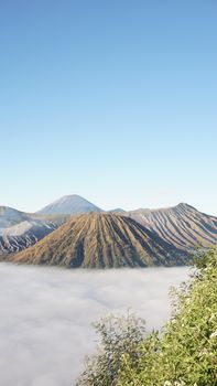 A stunning aerial view of Mount Bromo surrounded by a sea of clouds and clear blue sky.