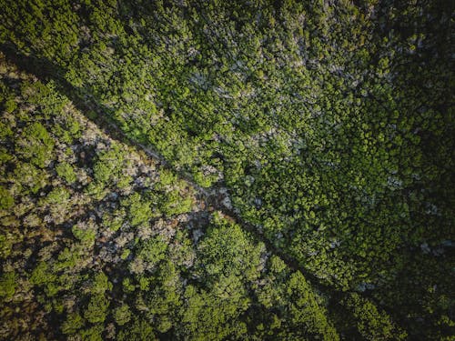 Gratis lagerfoto af droneoptagelse, luftfoto, natur