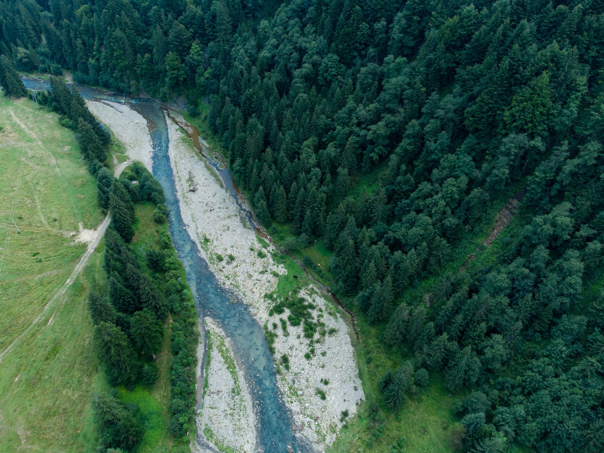 A River in the Forest · Free Stock Photo