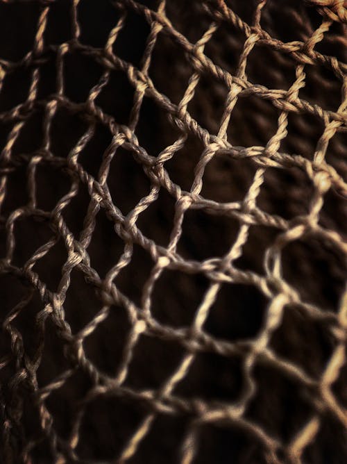 Close-up Photo of a Net Mesh