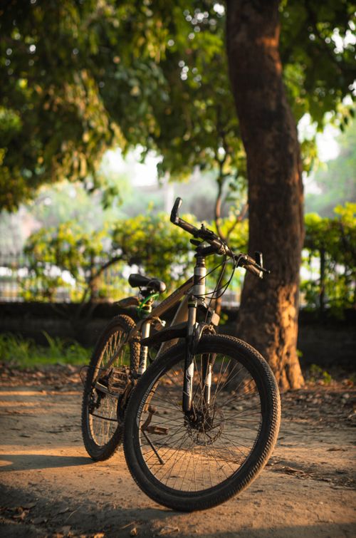 Free A black mountain bike parked under a leafy tree in a serene outdoor setting. Stock Photo