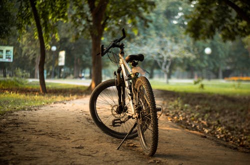 Mountain Bike on a Walkway in the Park