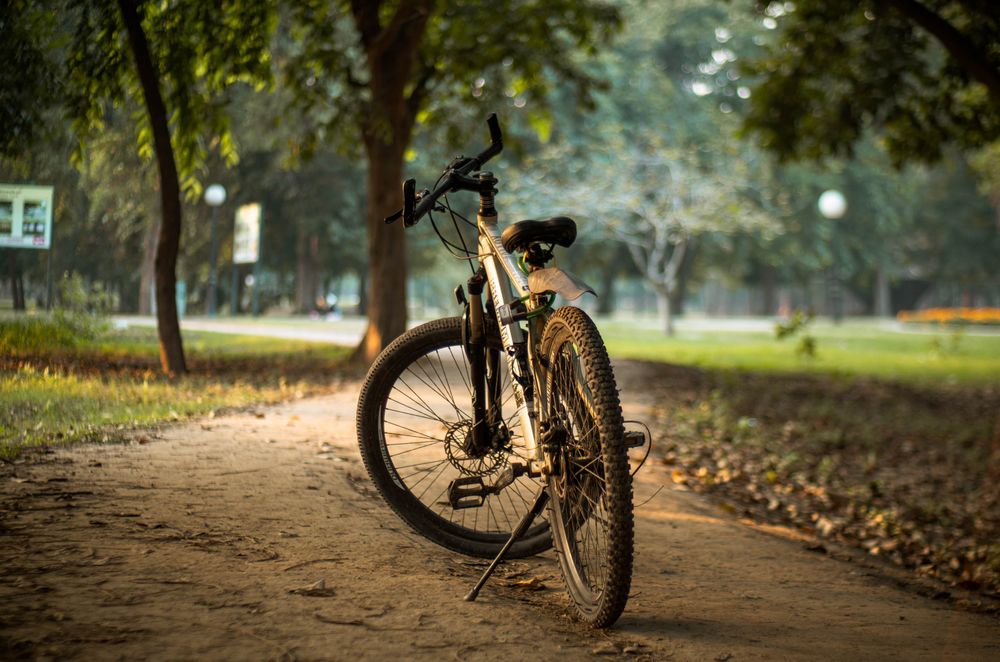 Bicicletta su un sentiero sterrato fra gli alberi