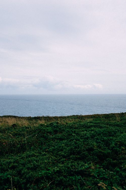 Free Peaceful ocean view from a green cliff under a cloudy sky, perfect for nature lovers. Stock Photo